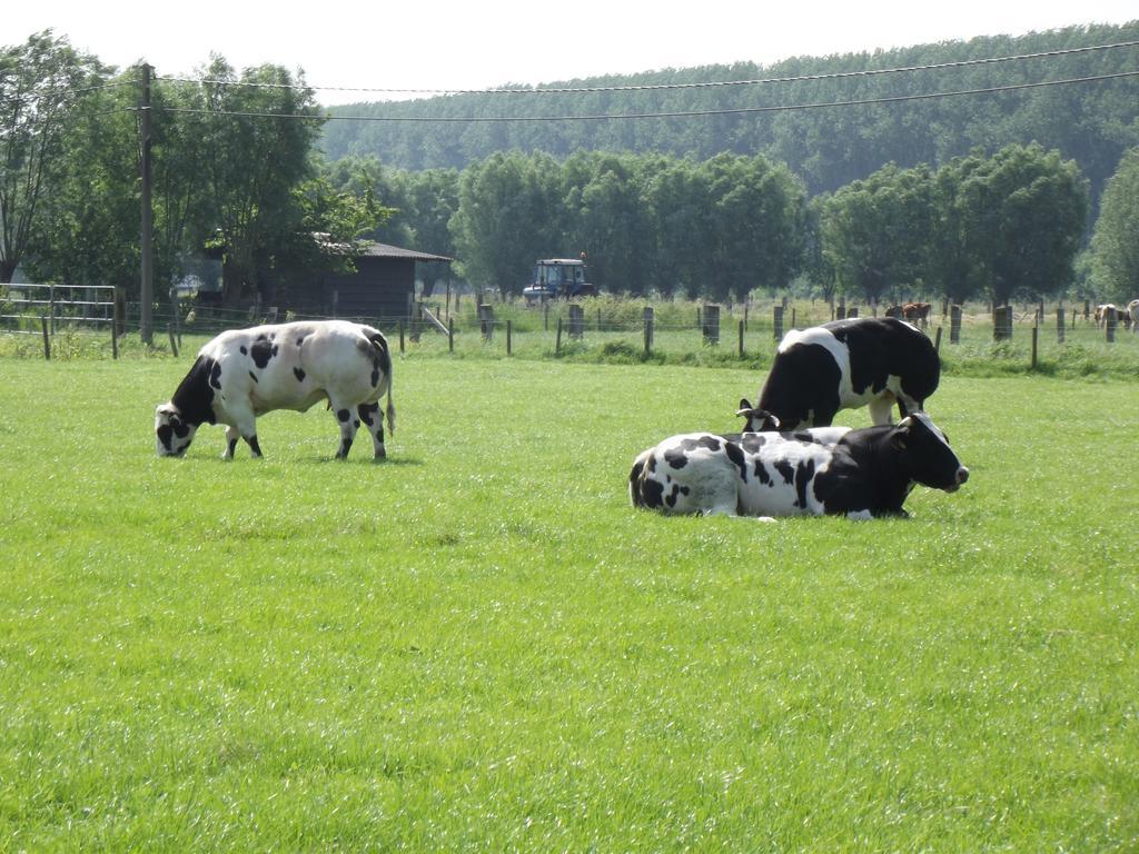 B&B Altijd Genieten Damme Luaran gambar